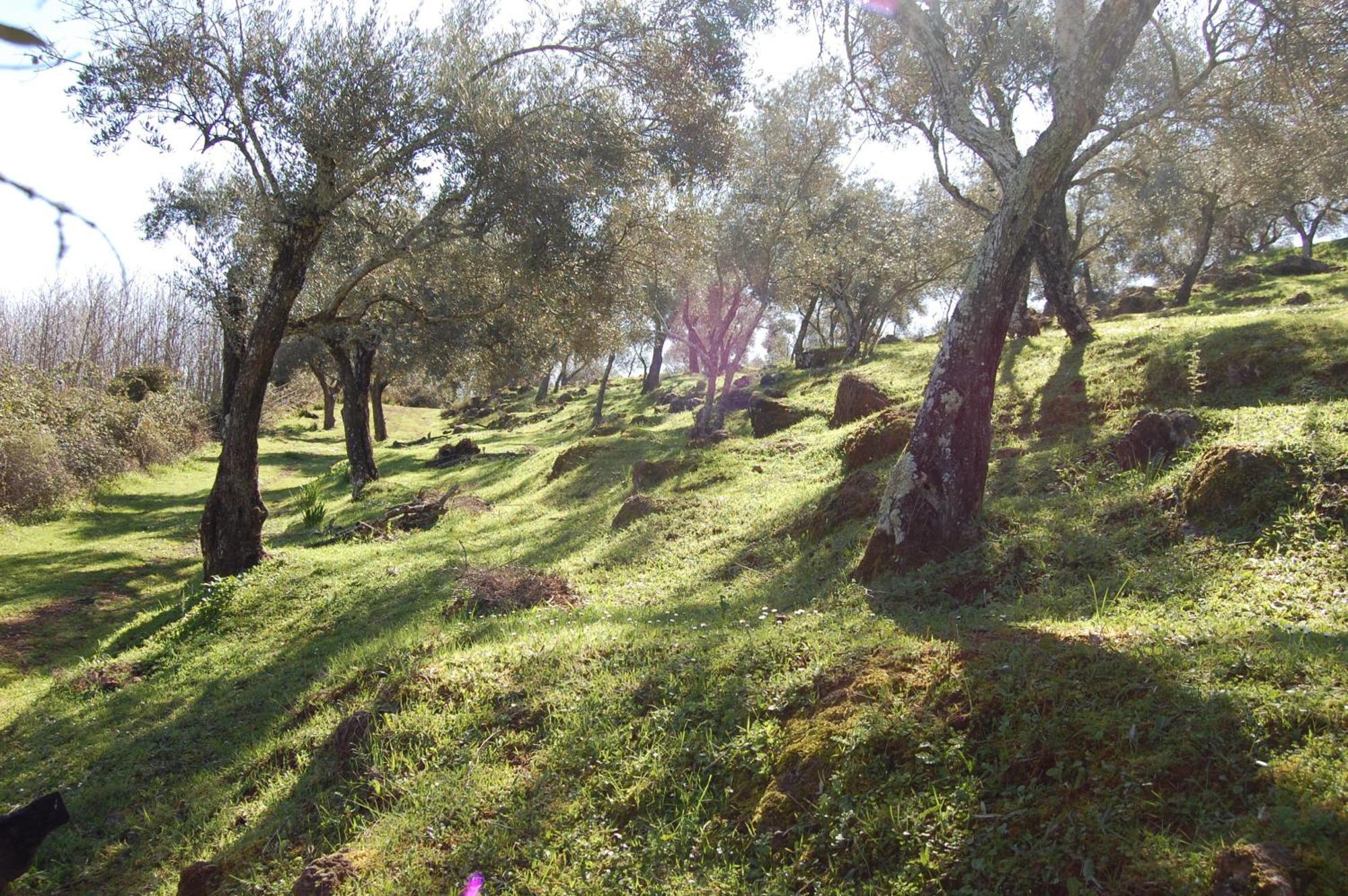 Los Pozos De La Nieve Constantina Dış mekan fotoğraf